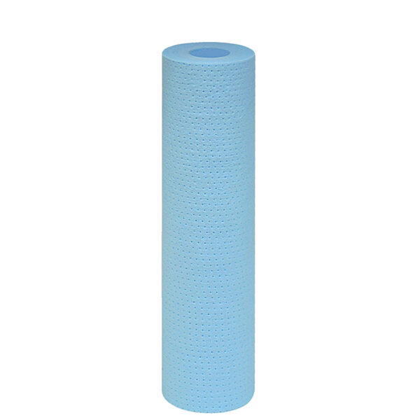 Cartus antibacterian 10" FCPS-AB