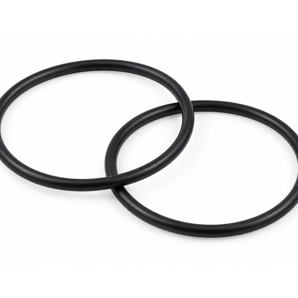 Set de 2 oringuri pentru carcasa cu opringuri duble 10”